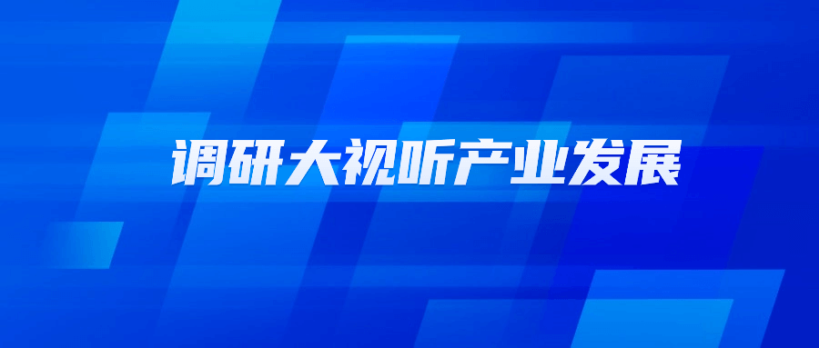 浙江省文化广电和旅游厅党组书记陈广胜一行莅临当虹科技调研